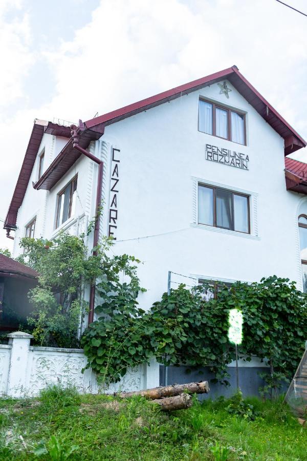 Pensiunea Rozmarin Singeorz-Bai Buitenkant foto