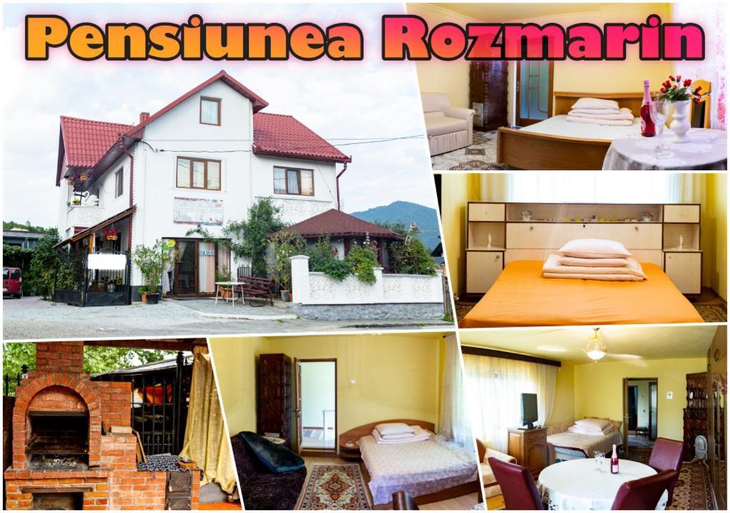 Pensiunea Rozmarin Singeorz-Bai Buitenkant foto